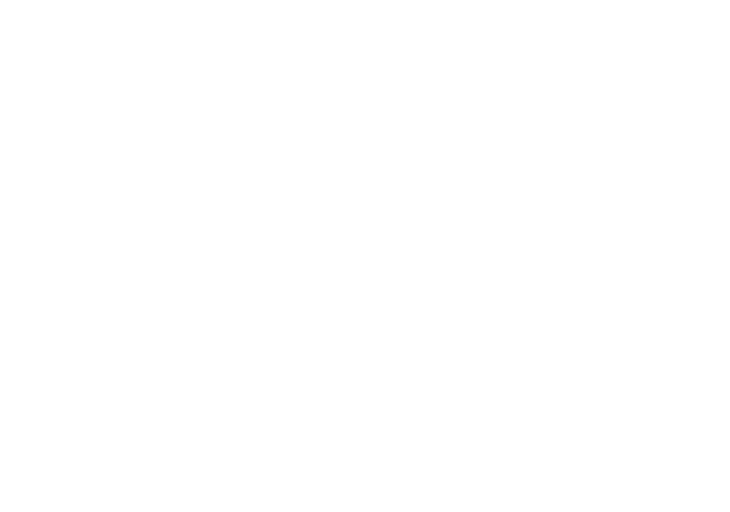 Football Action Network